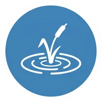 Pond